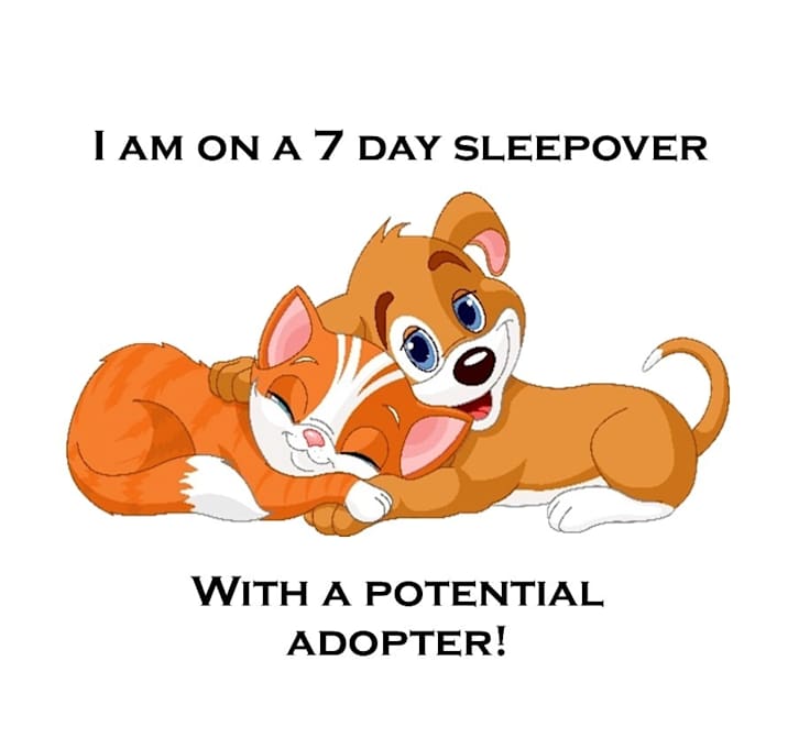 Photo of Eve C25-297