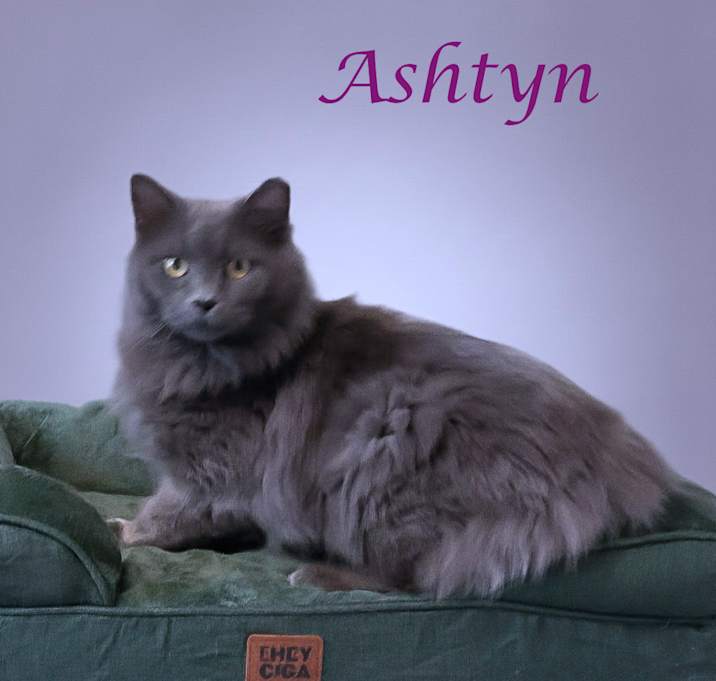 Photo of Ashtyn C25-352