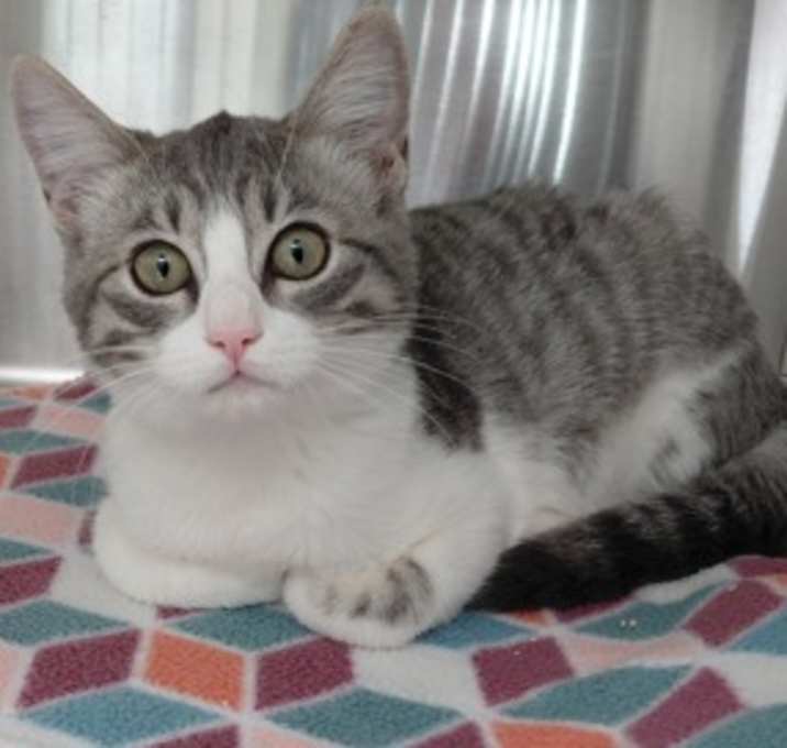 Photo of F25 FC 1228 Jules