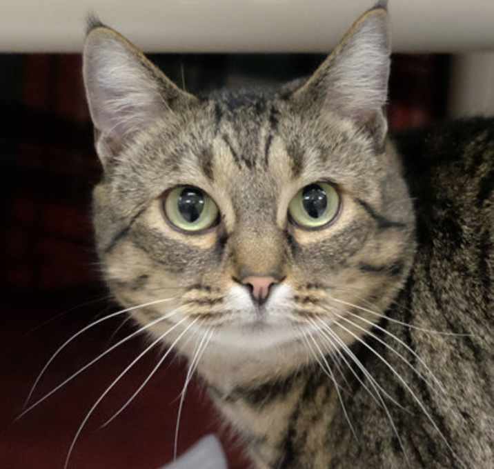 Photo of Run Around Sue