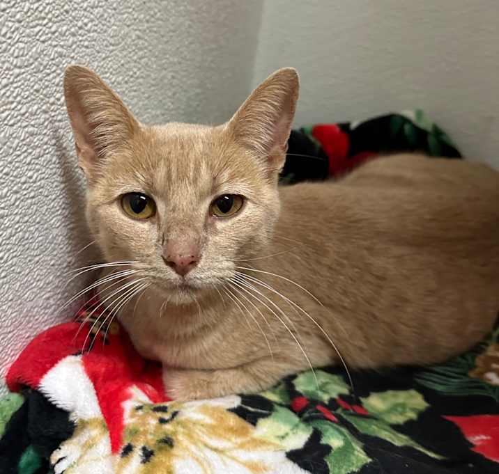 Photo of LuLu Mcdonald