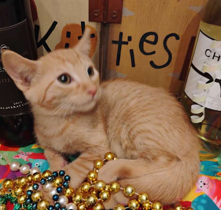 Photo of naoki.m org 3lb.4 oz