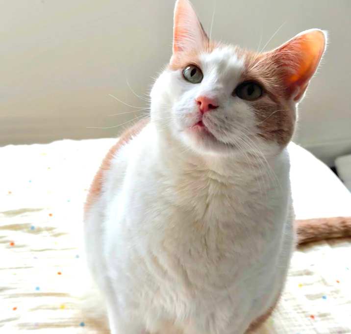 Photo of Draco Malfoy