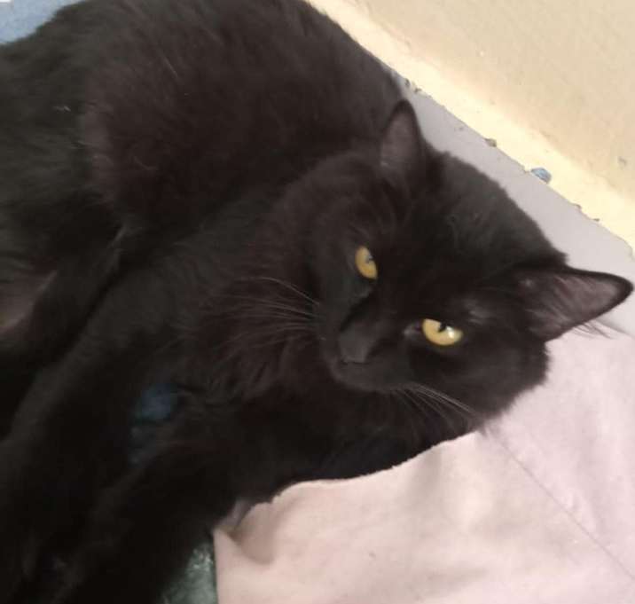 Photo of Mickey and Mika