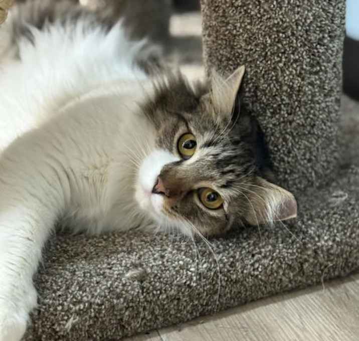 Photo of Tilly Mango