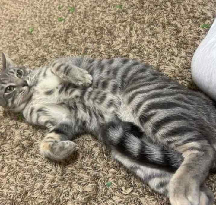 Photo of Claus Mistlepaw