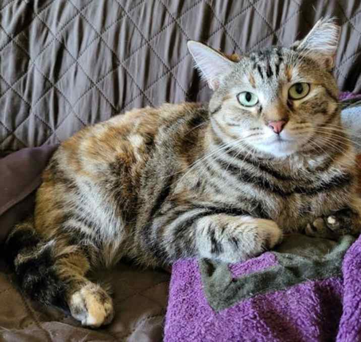 Photo of Priska Resiliet