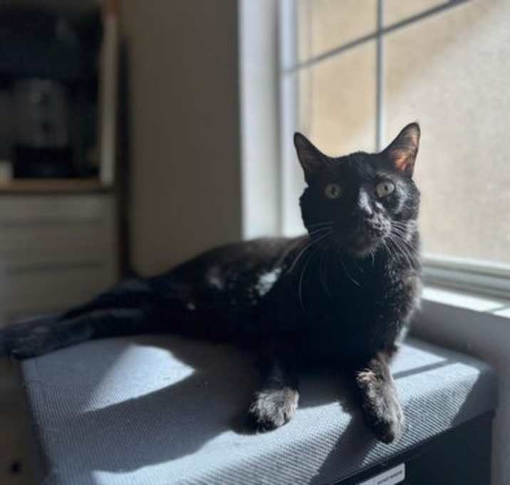 Photo of Professor Fuzzbottom