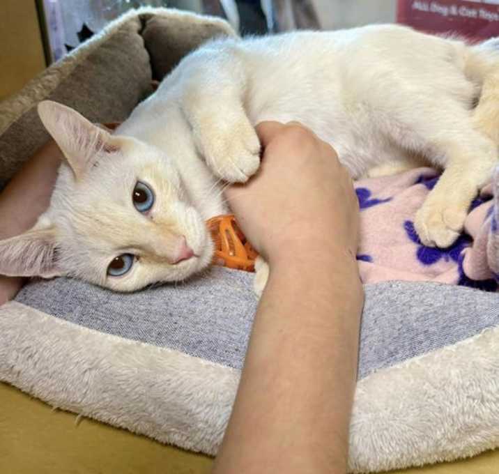 Photo of Blizzard Boy Junction