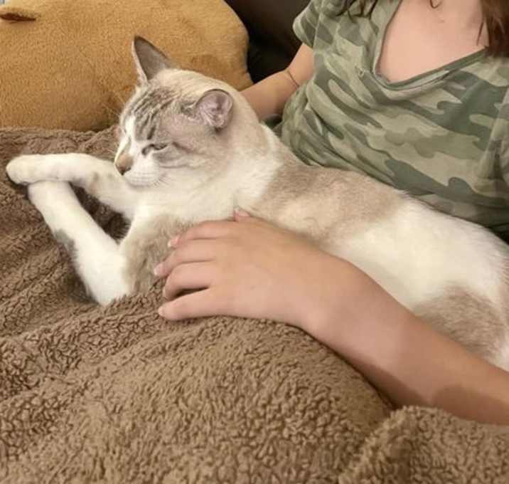 Photo of Stevie Goosey