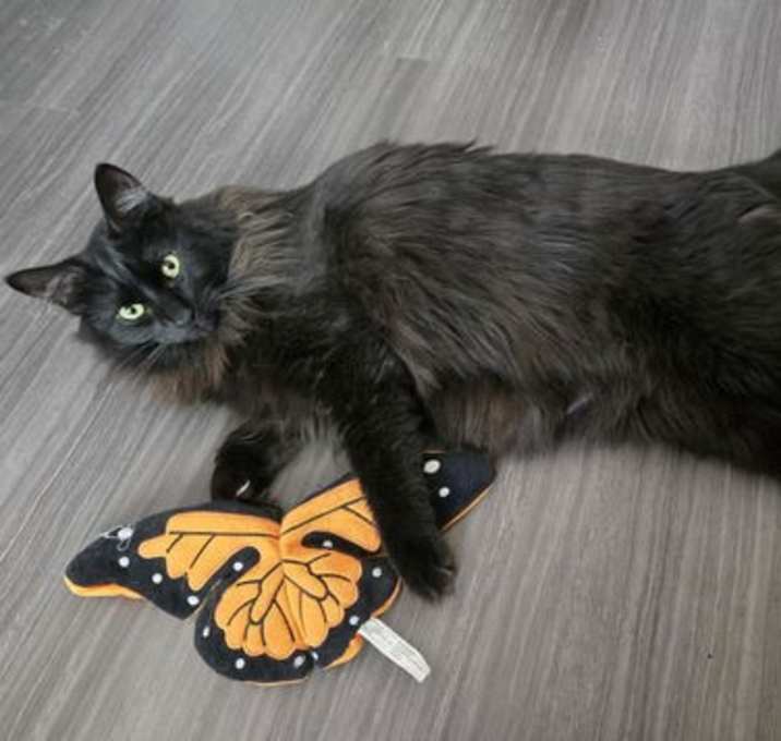 Photo of Hugo Beckett