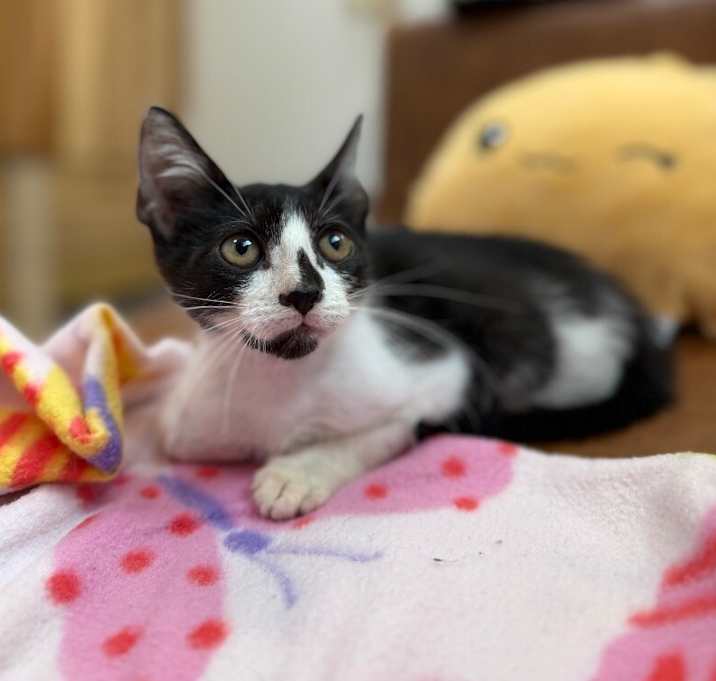 Photo of Ariel Harmison