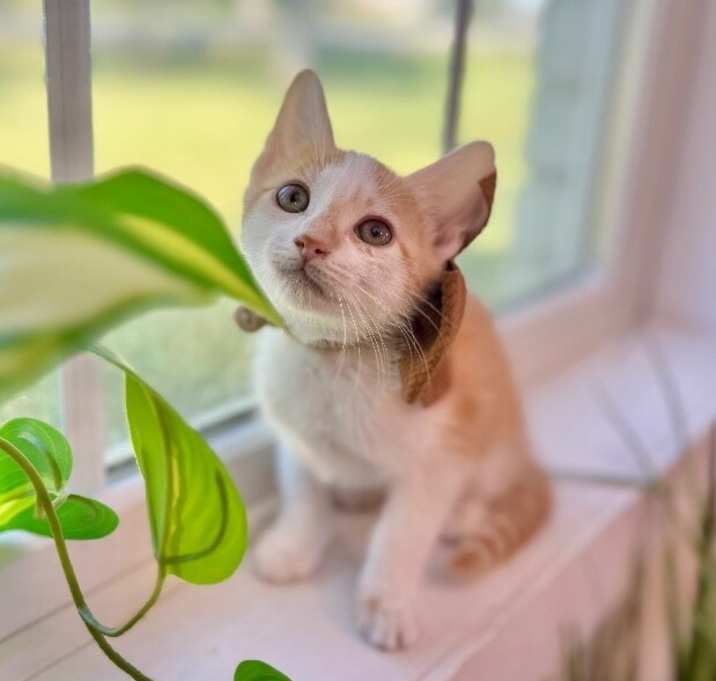 Photo of Tate Treasure