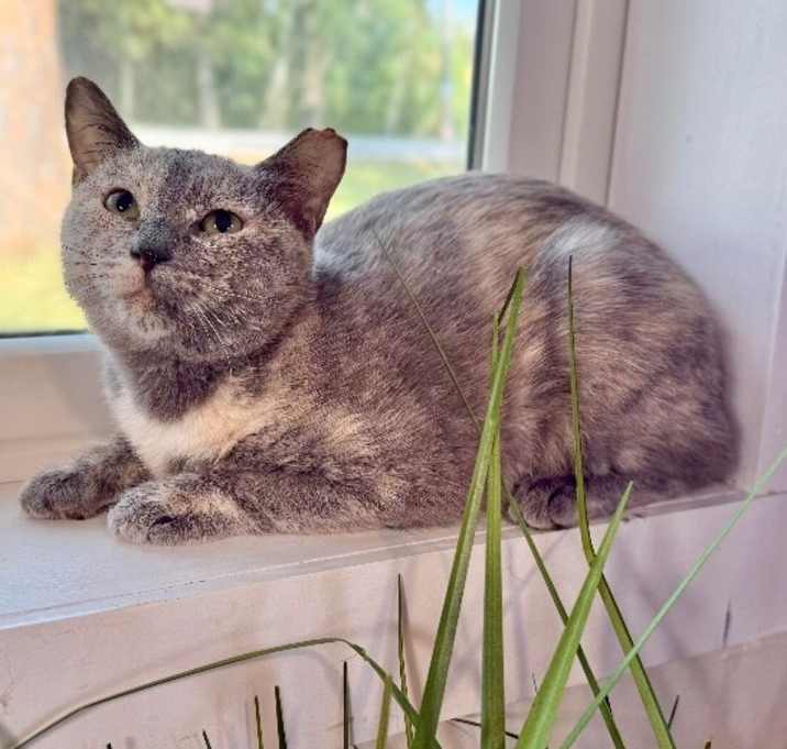 Photo of Marlow Stubbelina