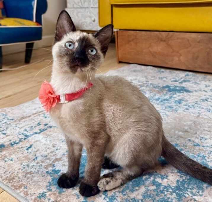 Photo of Mary Kate Montes