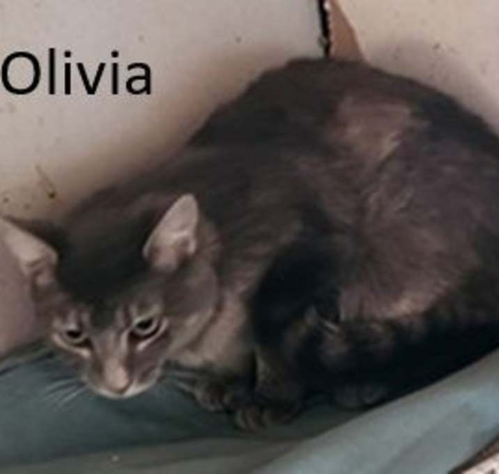 Photo of Olivia