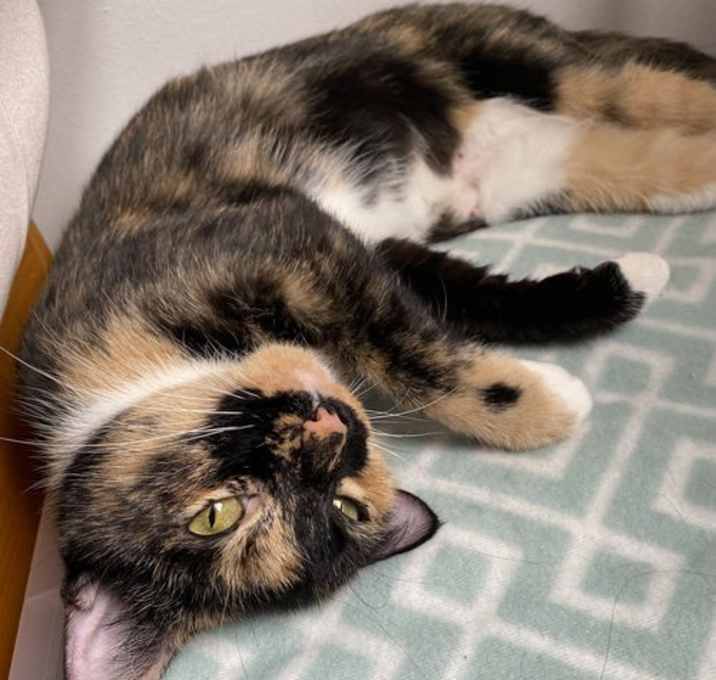 Photo of Fruit Cocktail