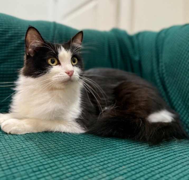 Photo of Robin Rosie