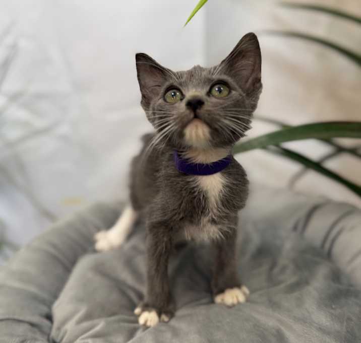 Photo of Joanne Marie TCHS