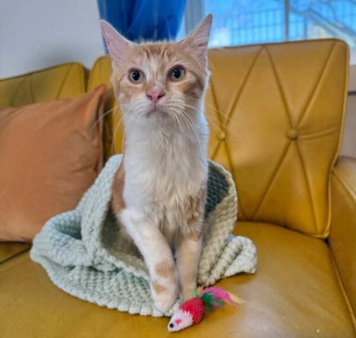 Photo of Paco Manuel