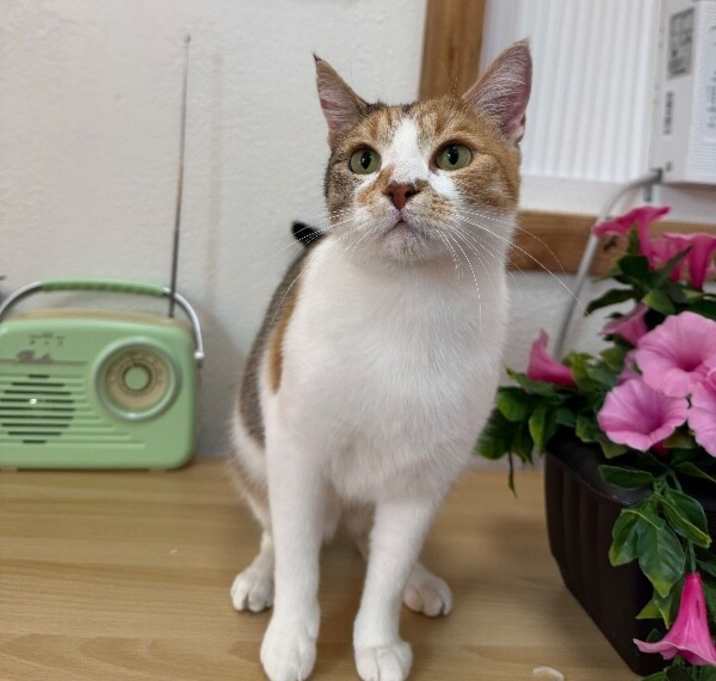 Photo of Catalina Chavez