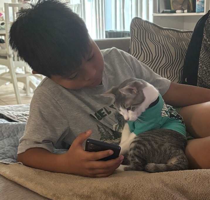 Photo of Daisy River