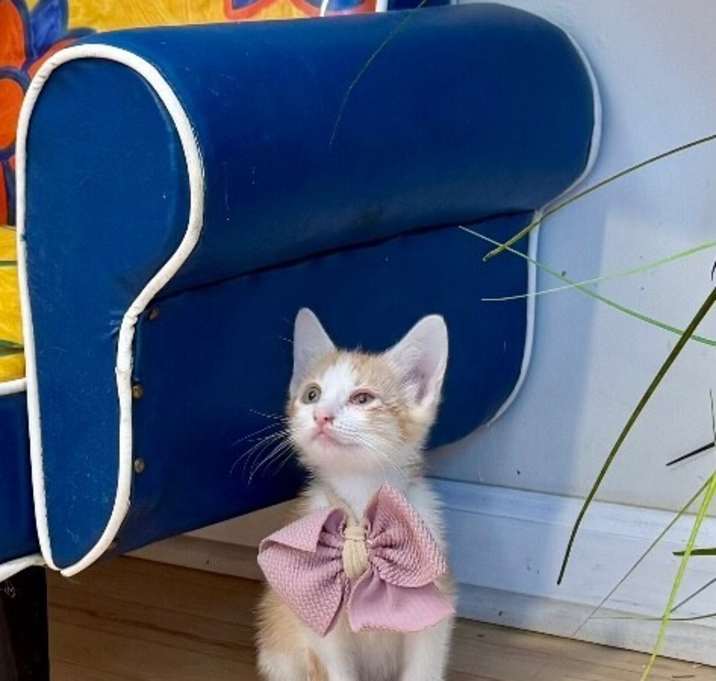 Photo of Taylen Treasure