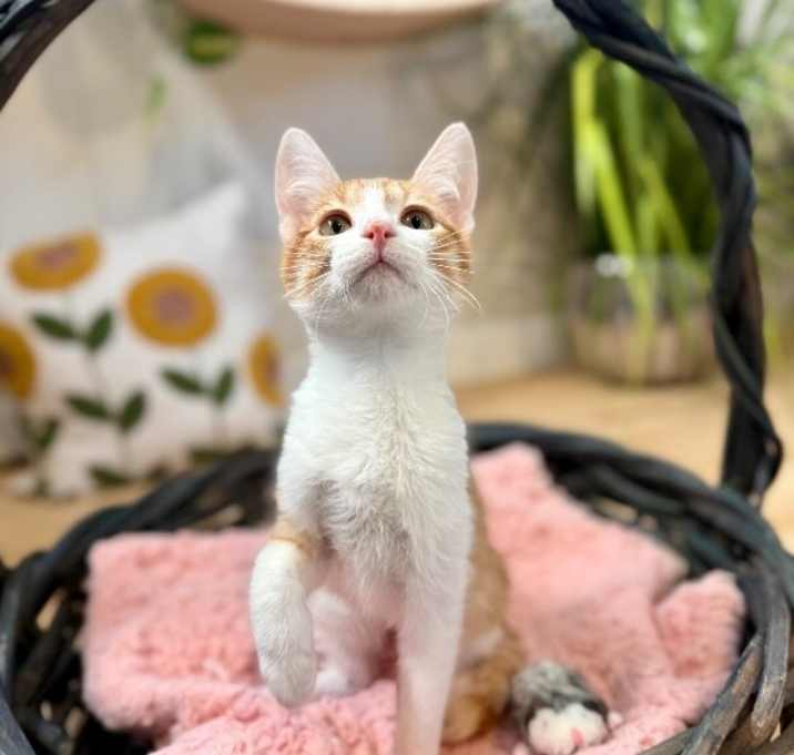 Photo of Tampa Treasure