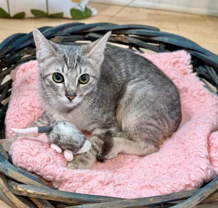 Photo of Tristan Treasure