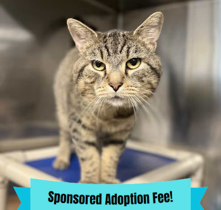 Photo of Coconut Cheeks