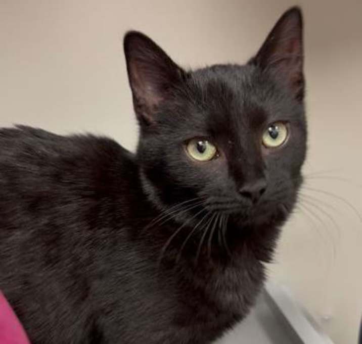 Photo of Timber- On Hold