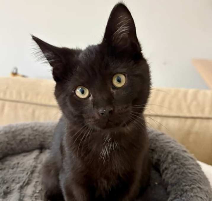 Photo of Bobby Brady