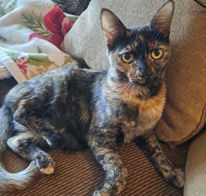 Photo of Lizzy Pop 55238