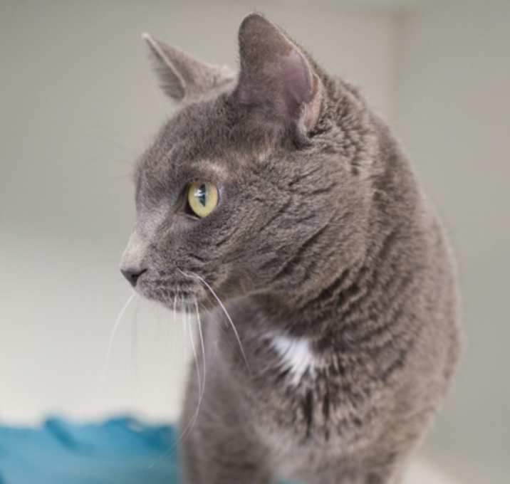 Photo of Ellwood (bonded with Toesies)