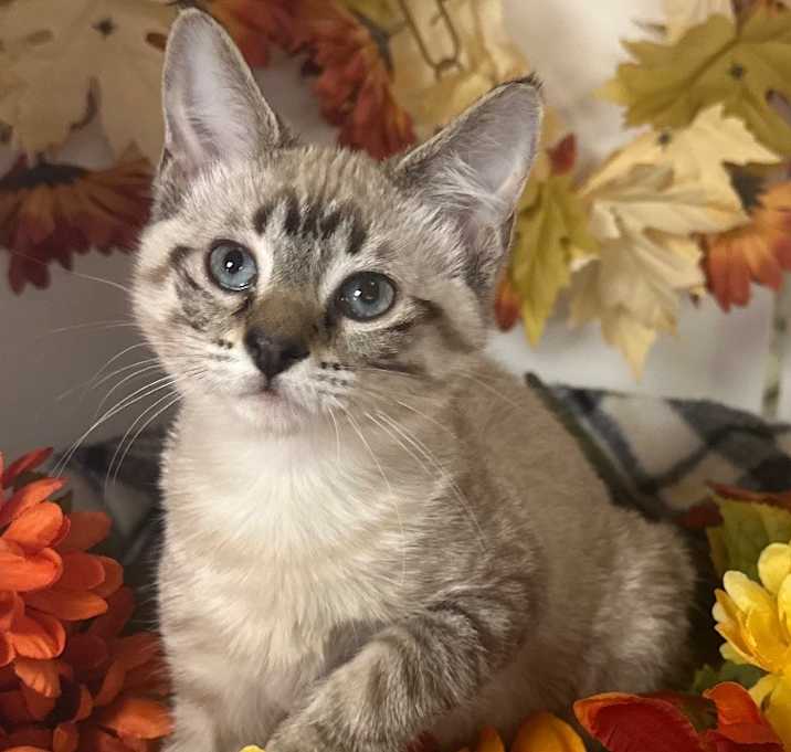 Photo of 8/28/25 - Pammy