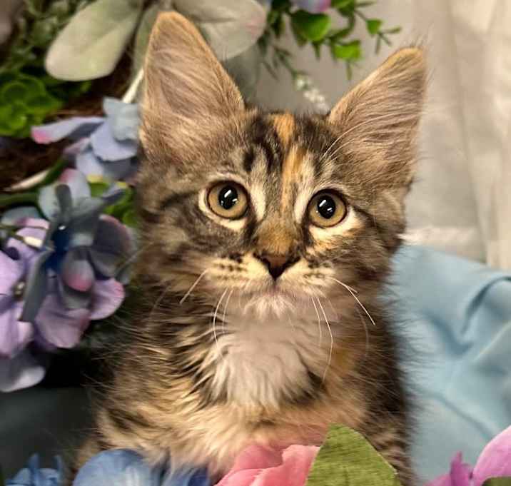 Photo of 5/15/25 - Juice