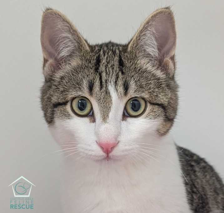 Photo of Happy (and Snow White)