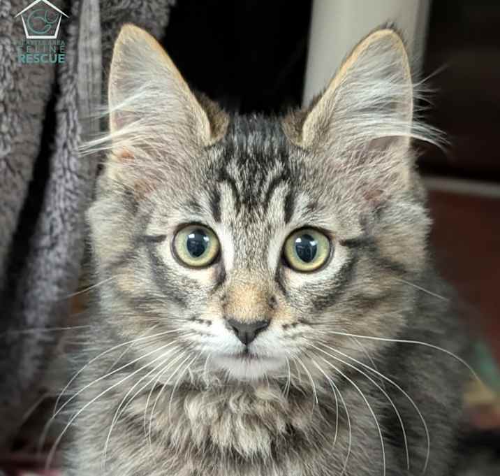 Photo of Wiley (and Willa)