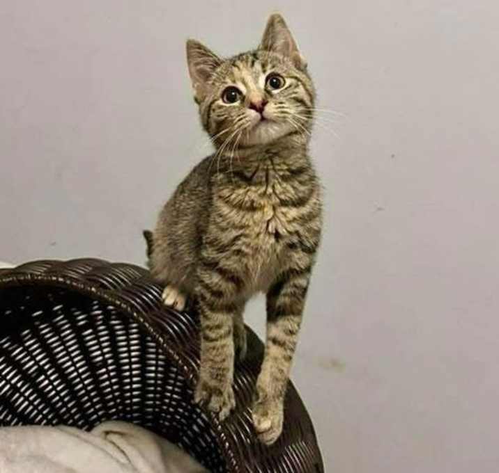 Photo of Danielle Dennison