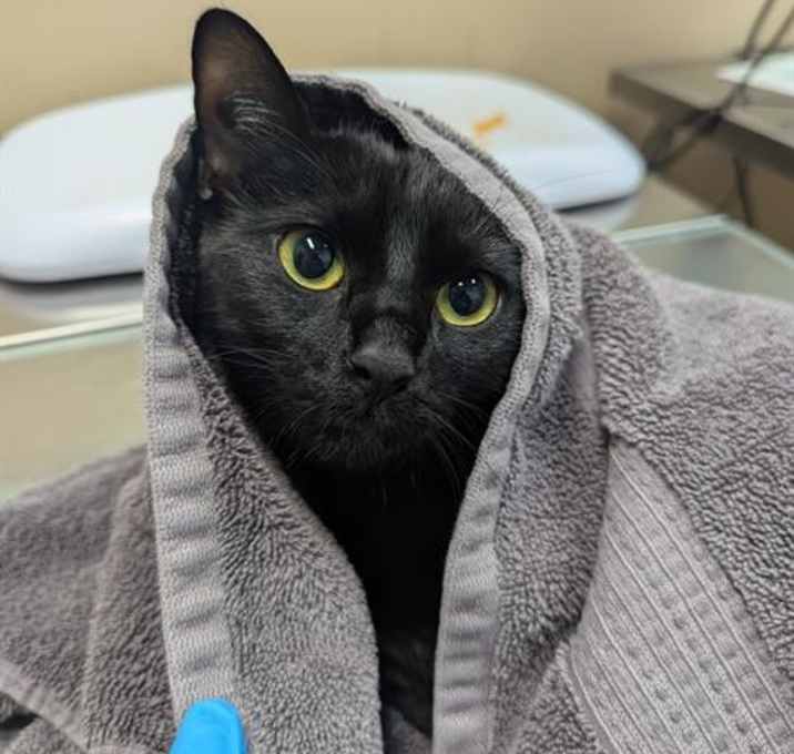 Photo of MISS BIANCA