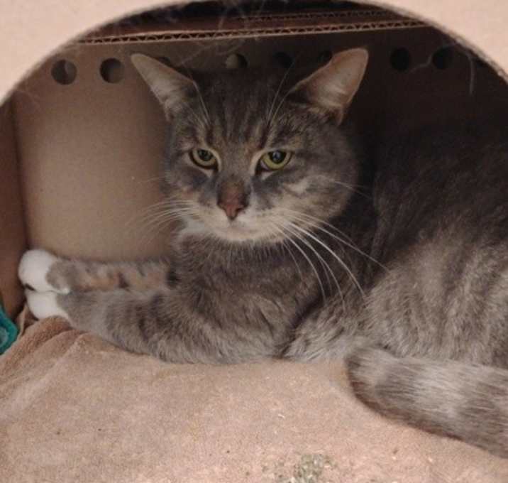 Photo of Jack In The Box