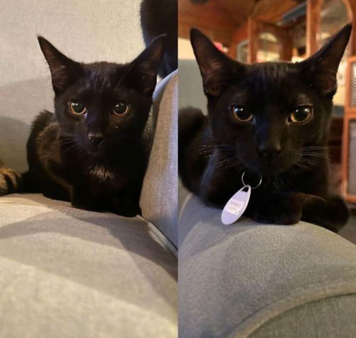 Photo of Cronus & Oceanus