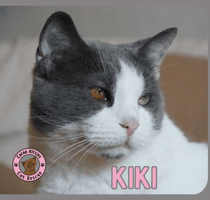 Photo of Kiki