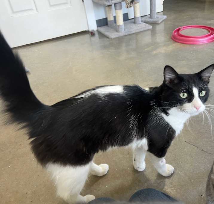 Photo of Luke Skywalker