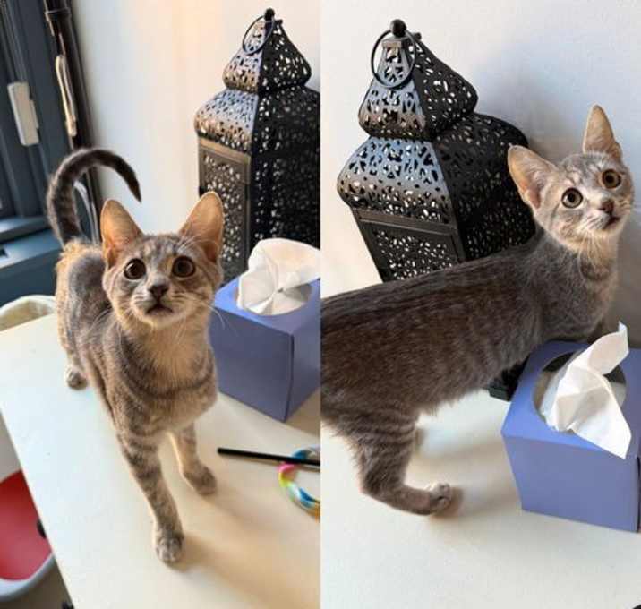 Photo of Kinder & Reese