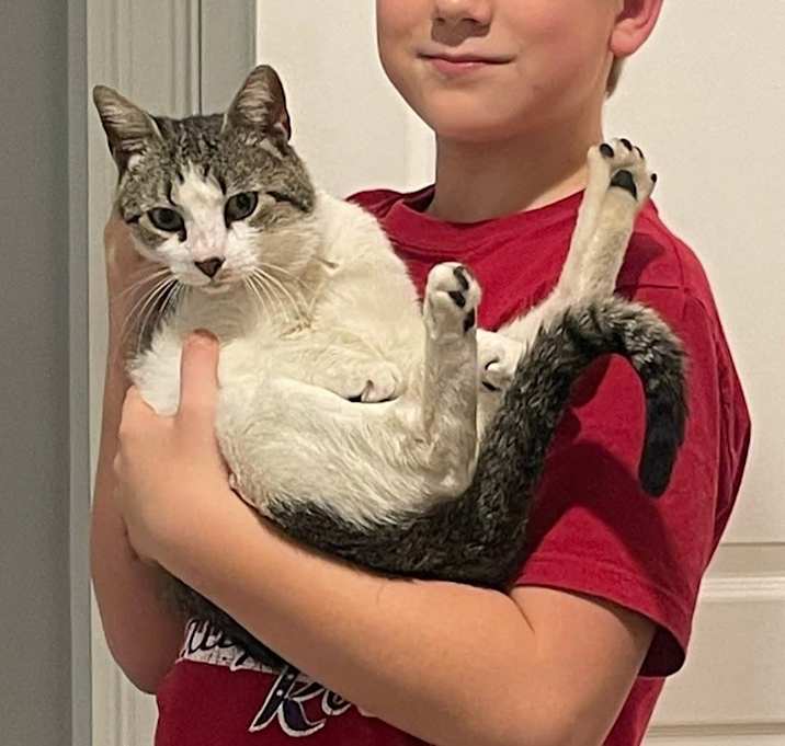 Photo of ROLLER MAGIC