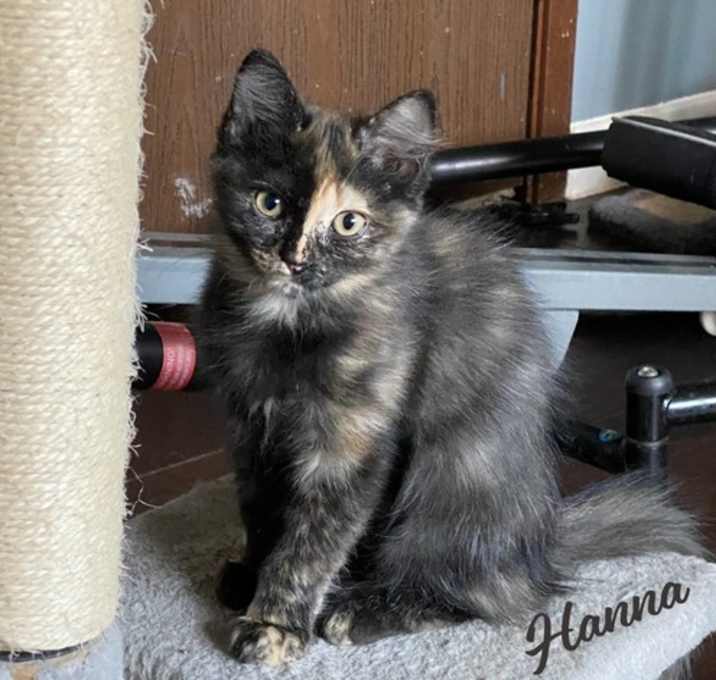 Photo of Hanna #sister-of-Benjamin