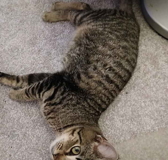 Photo of Sweet Caroline