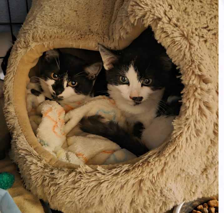 Photo of 2025-167 Slots