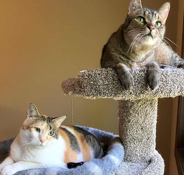 Photo of Cali & Bennie